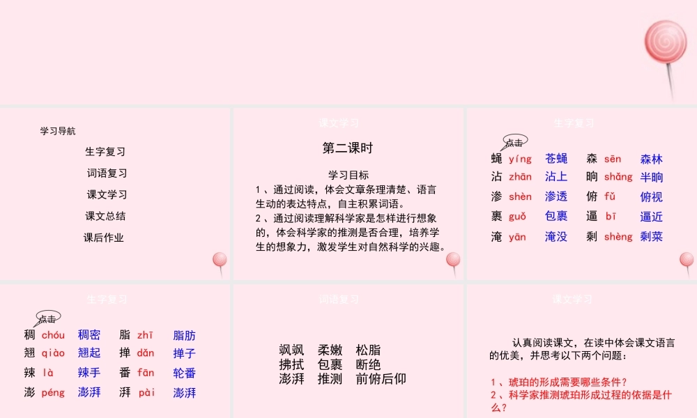 四年级语文上册 第五单元 24《琥珀》（第2课时）优秀课件 冀教版-冀教版小学四年级上册语文课件