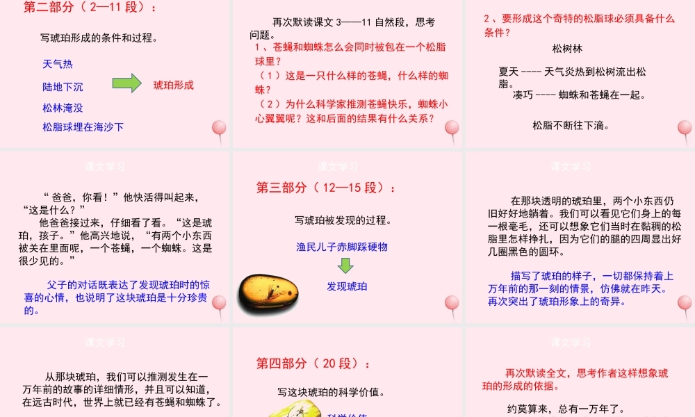 四年级语文上册 第五单元 24《琥珀》（第2课时）优秀课件 冀教版-冀教版小学四年级上册语文课件