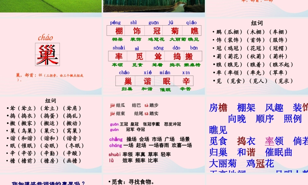 四年级语文下册 第六单元 21 乡下人家课件 新人教版-新人教版小学四年级下册语文课件