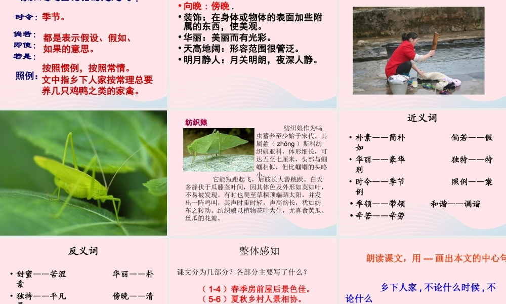 四年级语文下册 第六单元 21 乡下人家课件 新人教版-新人教版小学四年级下册语文课件