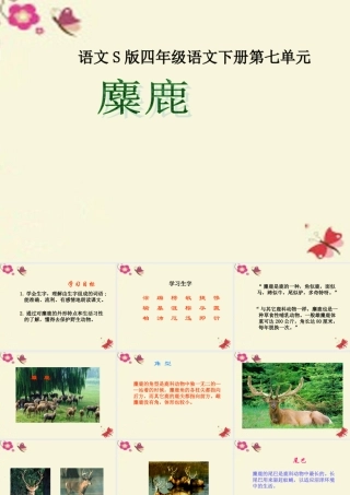 四年级语文下册 第7单元 27《麋鹿》课件2 语文S版-语文S版小学四年级下册语文课件