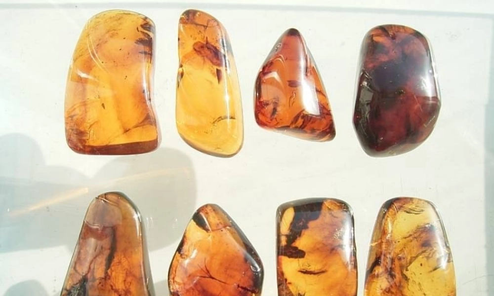 四年级语文上册 第五单元 24《琥珀》精品同步课件 冀教版-冀教版小学四年级上册语文课件