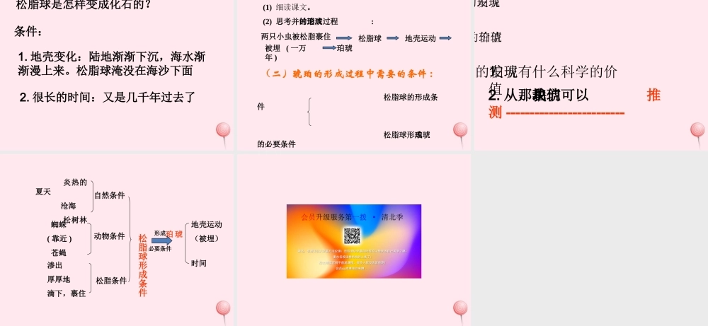 四年级语文上册 第五单元 24《琥珀》精品同步课件 冀教版-冀教版小学四年级上册语文课件