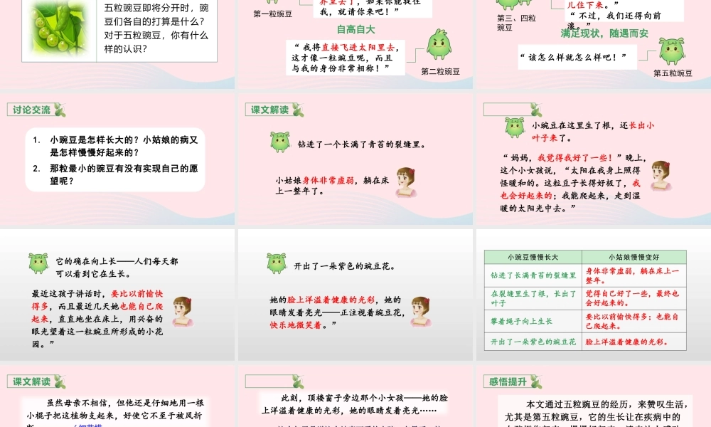 文上册 第二单元 5 一个豆荚里的五粒豆课件
