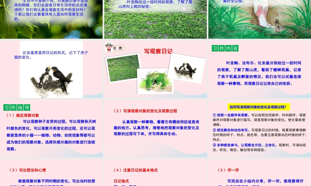 四年级语文上册 第三单元 口语交际、习作、语文园地教学课件 新人教版-新人教版小学四年级上册语文课件