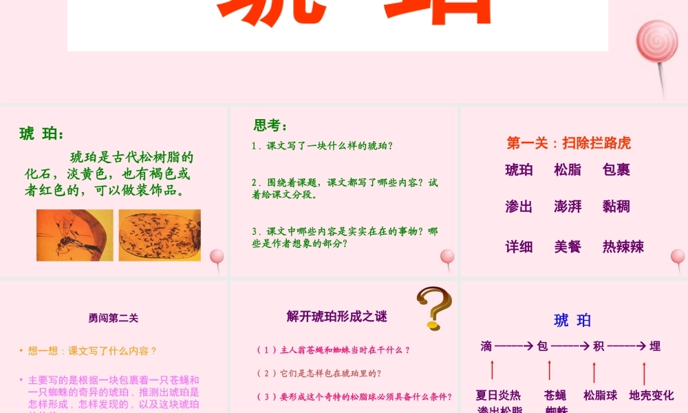 四年级语文上册 第五单元 24《琥珀》同步精品课件 冀教版-冀教版小学四年级上册语文课件