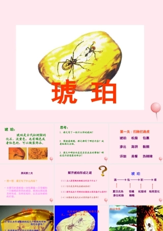 四年级语文上册 第五单元 24《琥珀》同步精品课件 冀教版-冀教版小学四年级上册语文课件