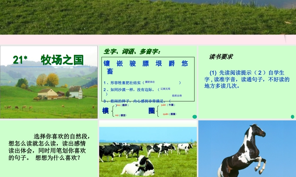 四年级语文下册 第六单元 21《牧场之国》课堂教学课件1 新人教版-新人教版小学四年级下册语文课件