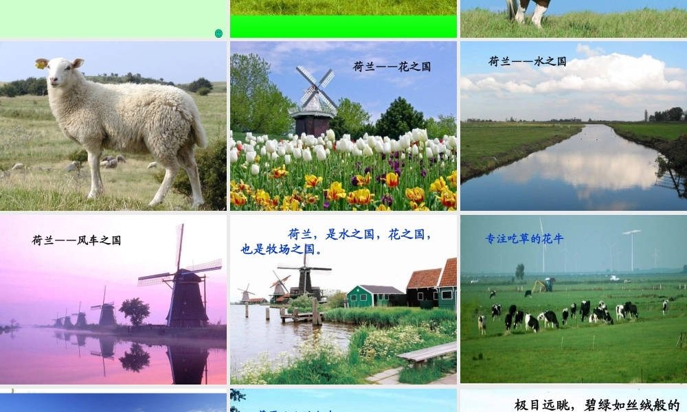 四年级语文下册 第六单元 21《牧场之国》课堂教学课件1 新人教版-新人教版小学四年级下册语文课件