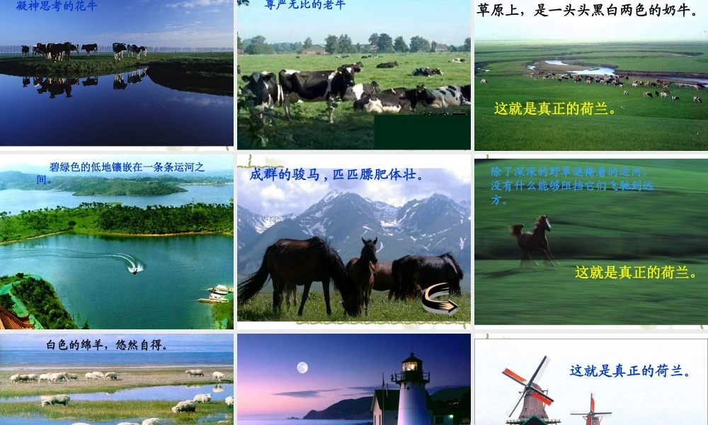 四年级语文下册 第六单元 21《牧场之国》课堂教学课件1 新人教版-新人教版小学四年级下册语文课件