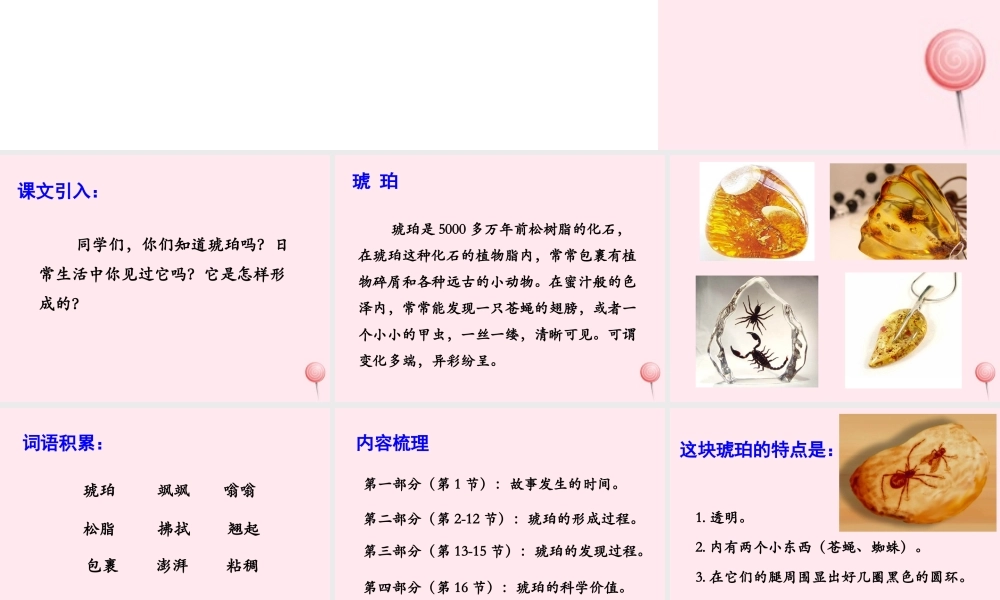 四年级语文上册 第五单元 24《琥珀》优培课件 冀教版-冀教版小学四年级上册语文课件