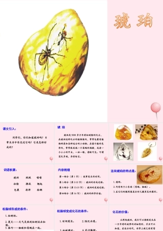 四年级语文上册 第五单元 24《琥珀》优培课件 冀教版-冀教版小学四年级上册语文课件