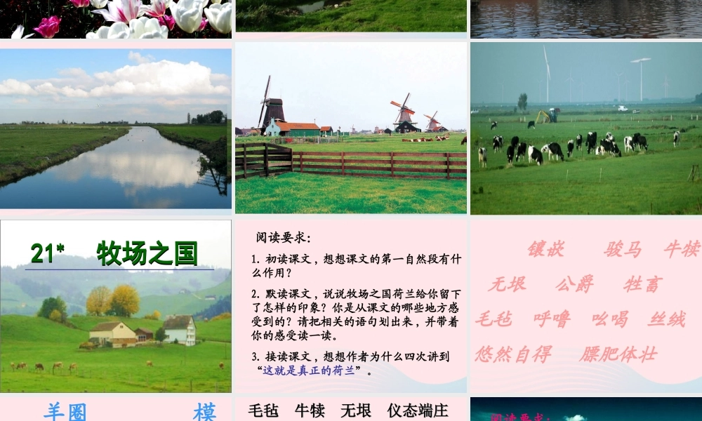 四年级语文下册 第六单元 21《牧场之国》课堂教学课件2 新人教版-新人教版小学四年级下册语文课件