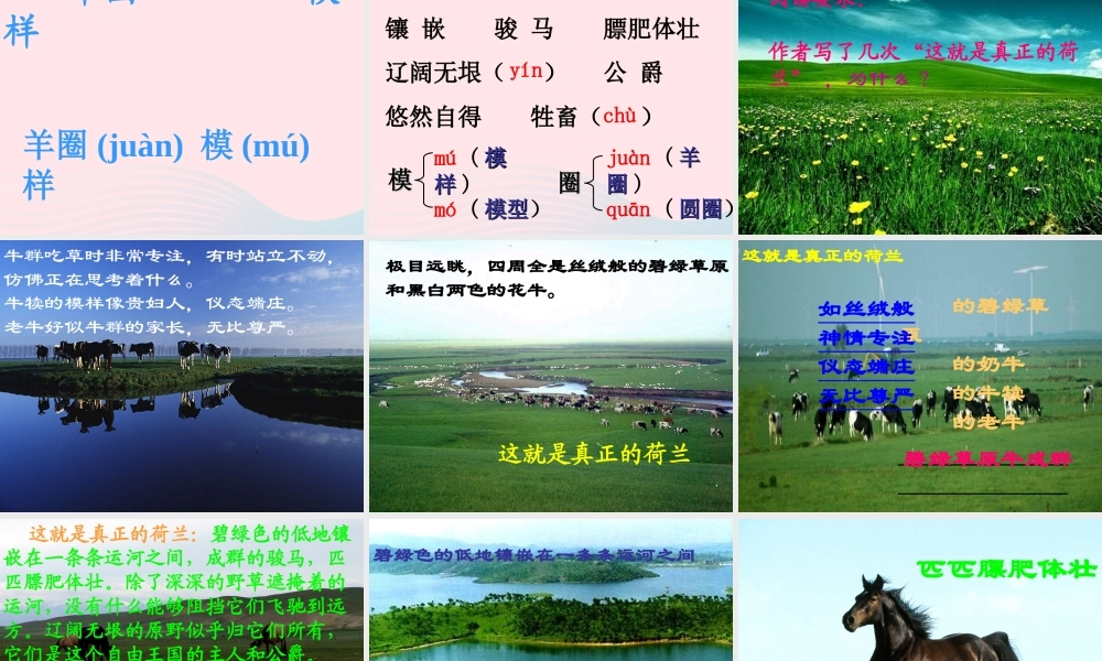 四年级语文下册 第六单元 21《牧场之国》课堂教学课件2 新人教版-新人教版小学四年级下册语文课件