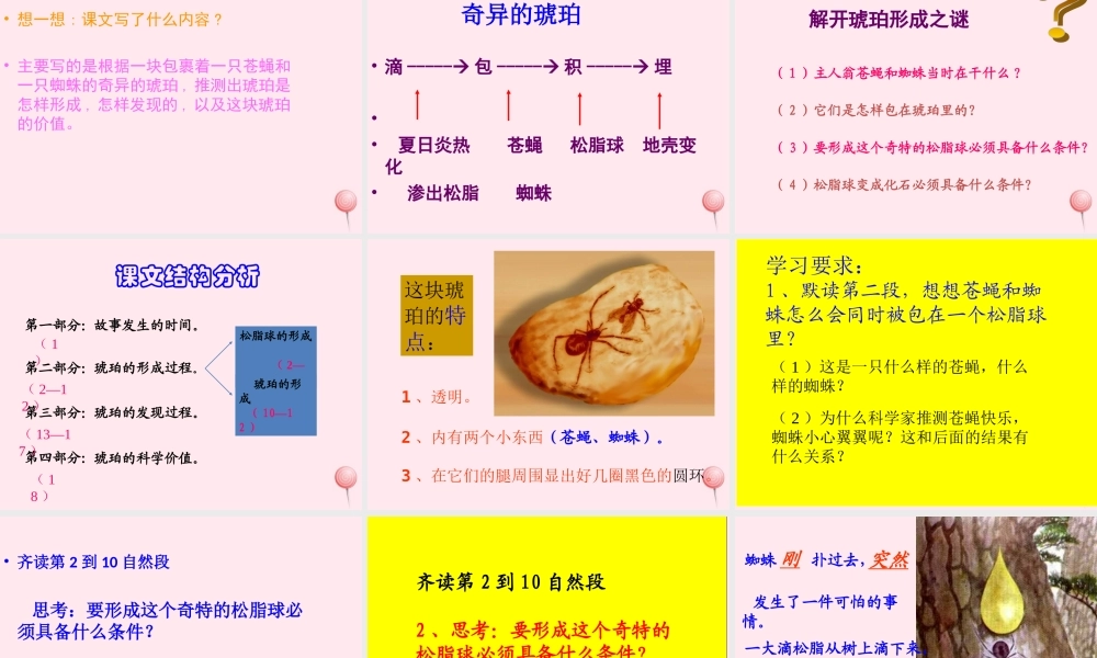 四年级语文上册 第五单元 24《琥珀》优质同步课件 冀教版-冀教版小学四年级上册语文课件