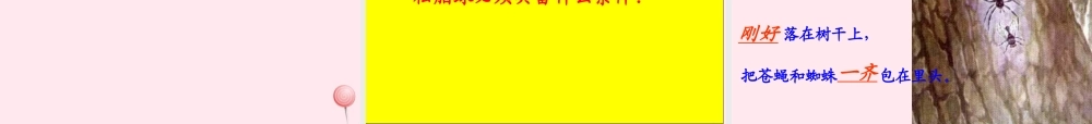 四年级语文上册 第五单元 24《琥珀》优质同步课件 冀教版-冀教版小学四年级上册语文课件