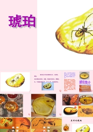 四年级语文上册 第五单元 24《琥珀》优质同步课件 冀教版-冀教版小学四年级上册语文课件