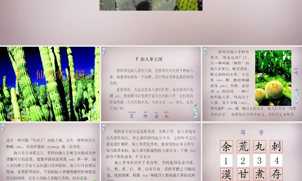 四年级语文上册《仙人掌王国》课件1 语文A版-语文A版小学四年级上册语文课件