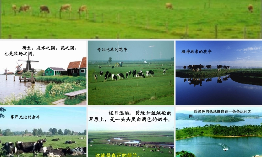 四年级语文下册 第六单元 21《牧场之国》课堂教学课件3 新人教版-新人教版小学四年级下册语文课件