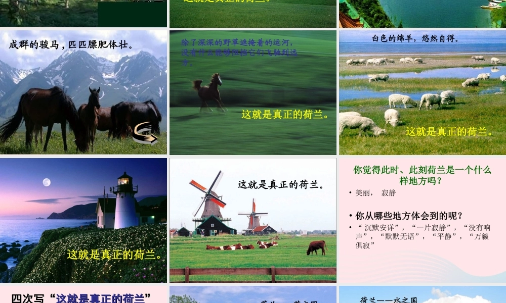 四年级语文下册 第六单元 21《牧场之国》课堂教学课件3 新人教版-新人教版小学四年级下册语文课件