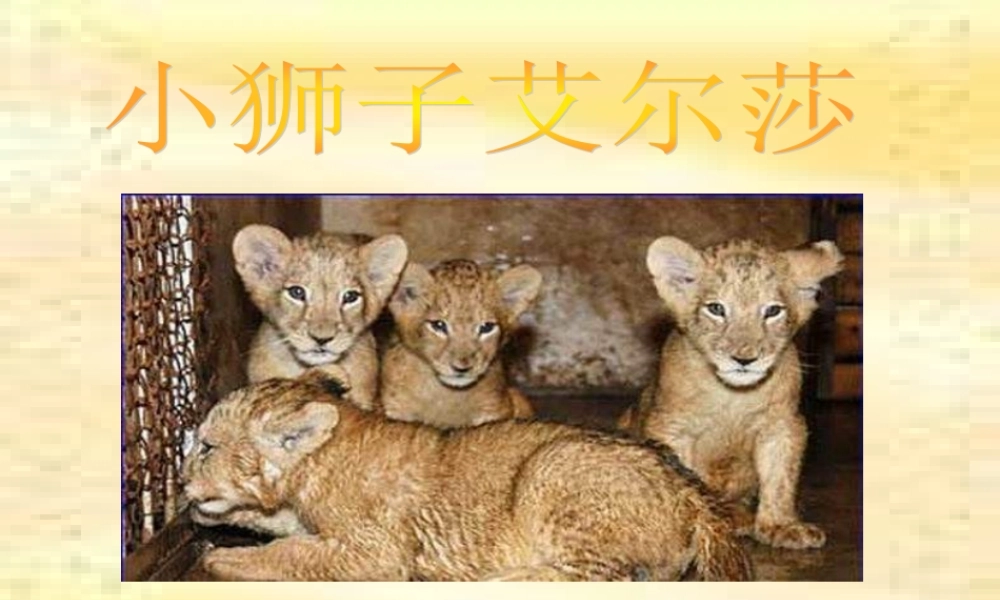 四年级语文下册 第7单元 28《小狮子爱尔莎》课件1 语文S版-语文S版小学四年级下册语文课件