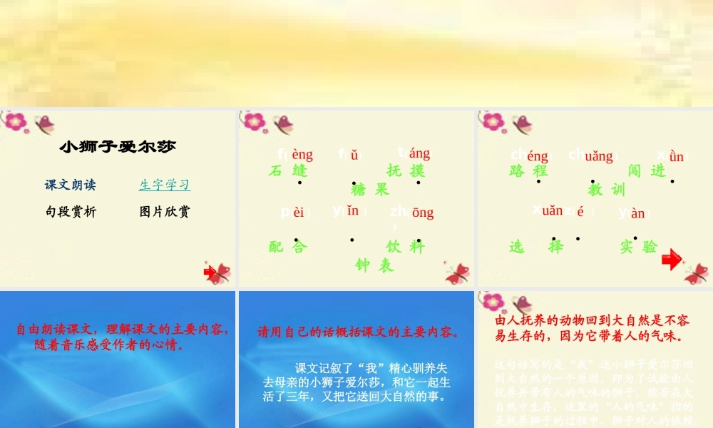 四年级语文下册 第7单元 28《小狮子爱尔莎》课件1 语文S版-语文S版小学四年级下册语文课件