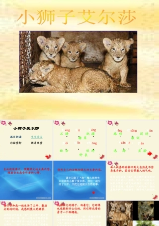 四年级语文下册 第7单元 28《小狮子爱尔莎》课件1 语文S版-语文S版小学四年级下册语文课件