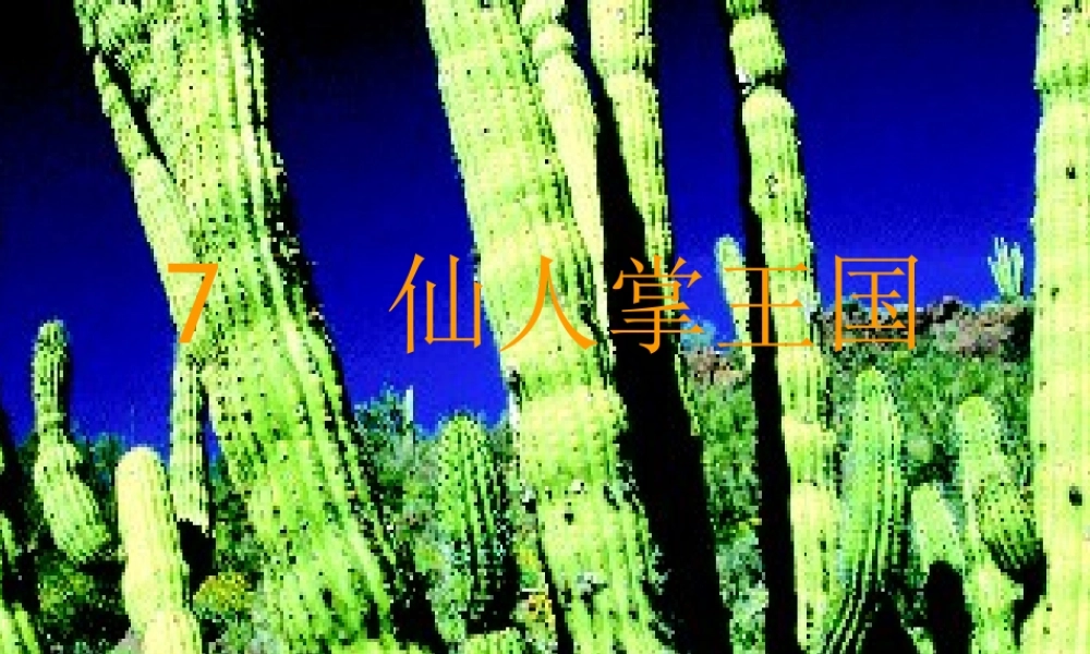 四年级语文上册《仙人掌王国》课件2 语文A版-语文A版小学四年级上册语文课件