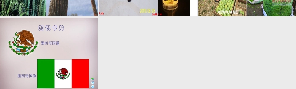 四年级语文上册《仙人掌王国》课件2 语文A版-语文A版小学四年级上册语文课件