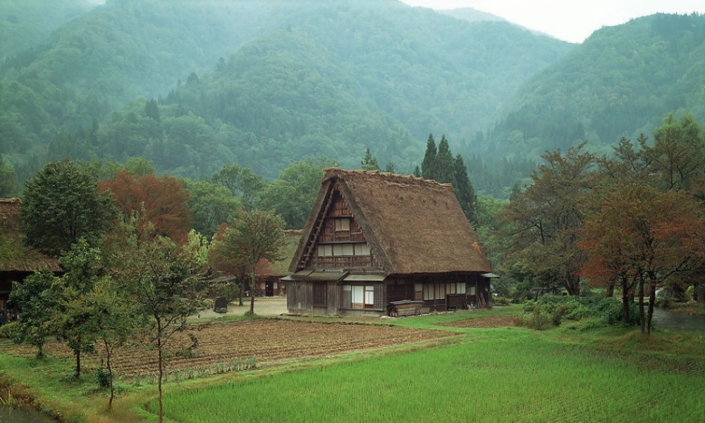 四年级语文下册 第六单元 21乡下人家课件1 新人教版-新人教版小学四年级下册语文课件