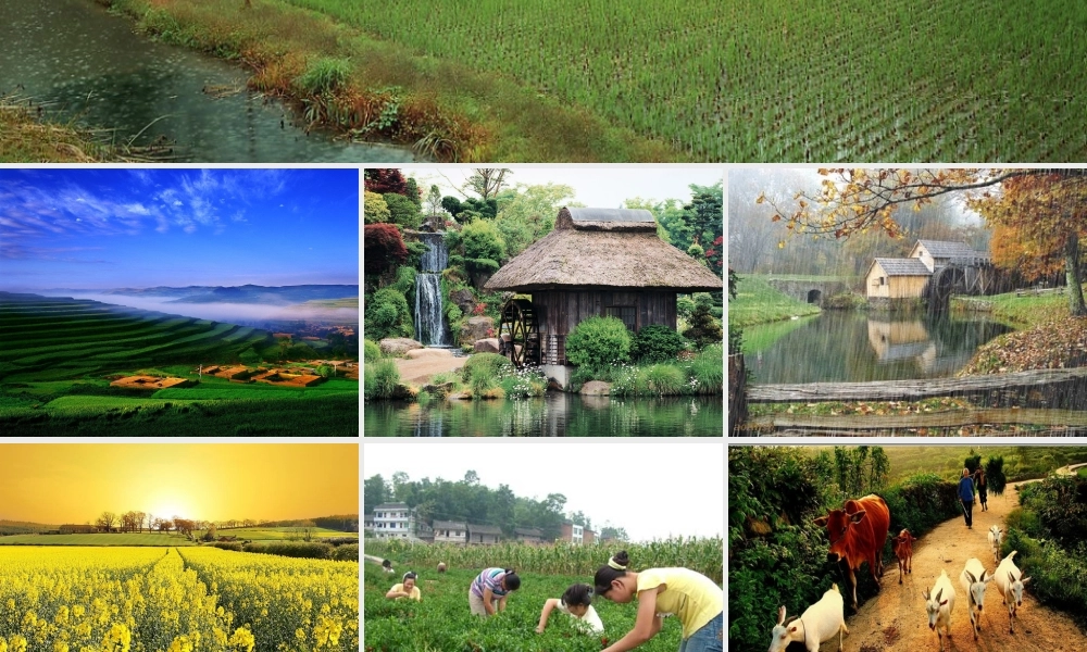 四年级语文下册 第六单元 21乡下人家课件1 新人教版-新人教版小学四年级下册语文课件