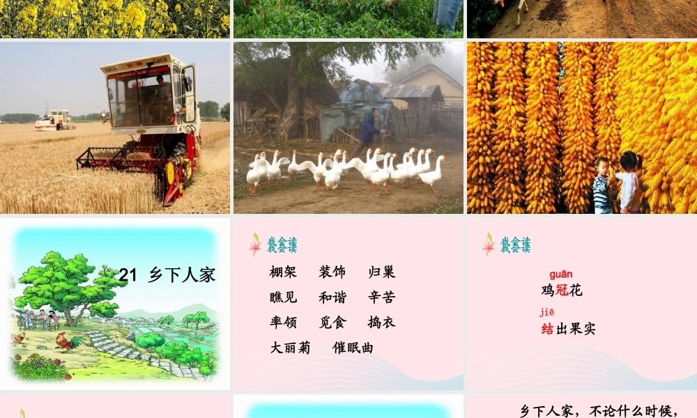 四年级语文下册 第六单元 21乡下人家课件1 新人教版-新人教版小学四年级下册语文课件