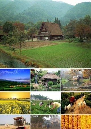 四年级语文下册 第六单元 21乡下人家课件1 新人教版-新人教版小学四年级下册语文课件