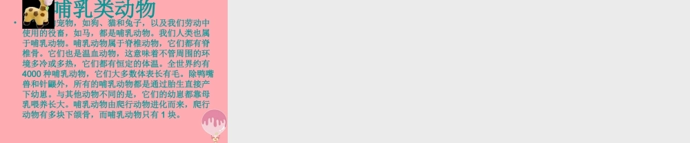 四年级语文上册 第三单元 联欢会的风波课件1 西师大版-西师大版小学四年级上册语文课件