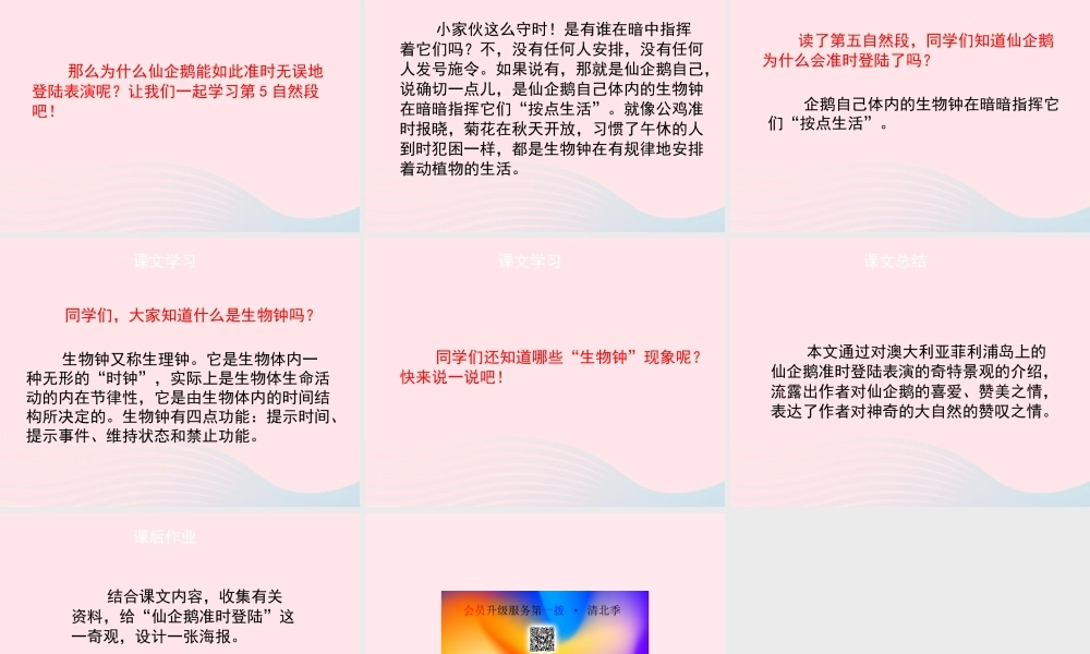 四年级语文上册 第五单元 25《准时的登陆表演》（第2课时）优秀课件 冀教版-冀教版小学四年级上册语文课件