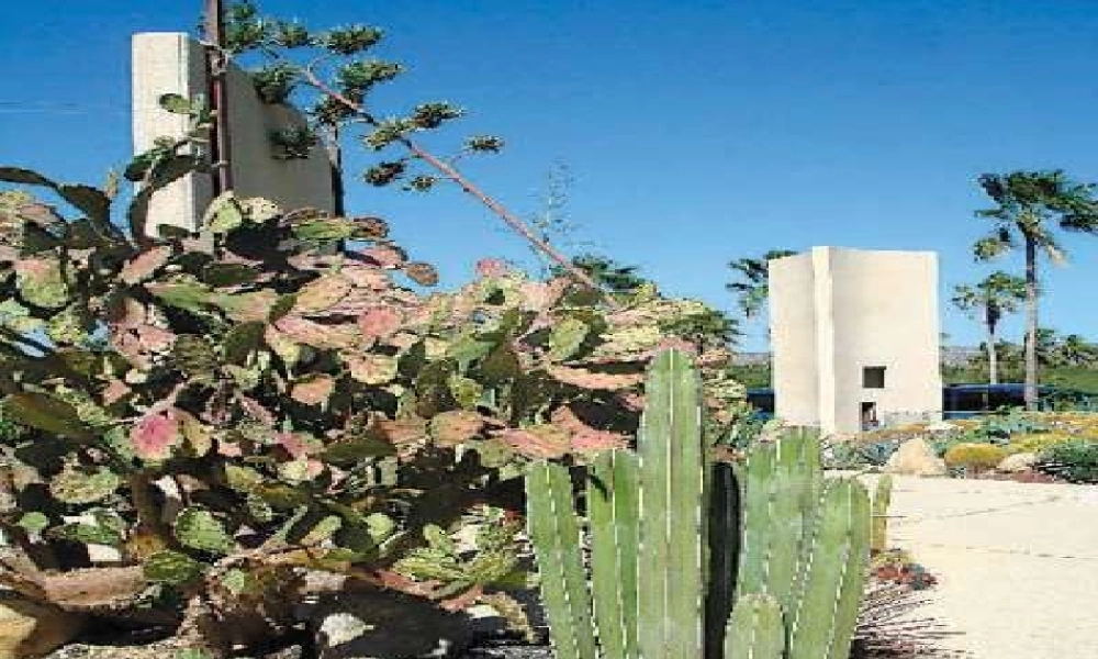 四年级语文上册《仙人掌王国》课件3 语文A版-语文A版小学四年级上册语文课件