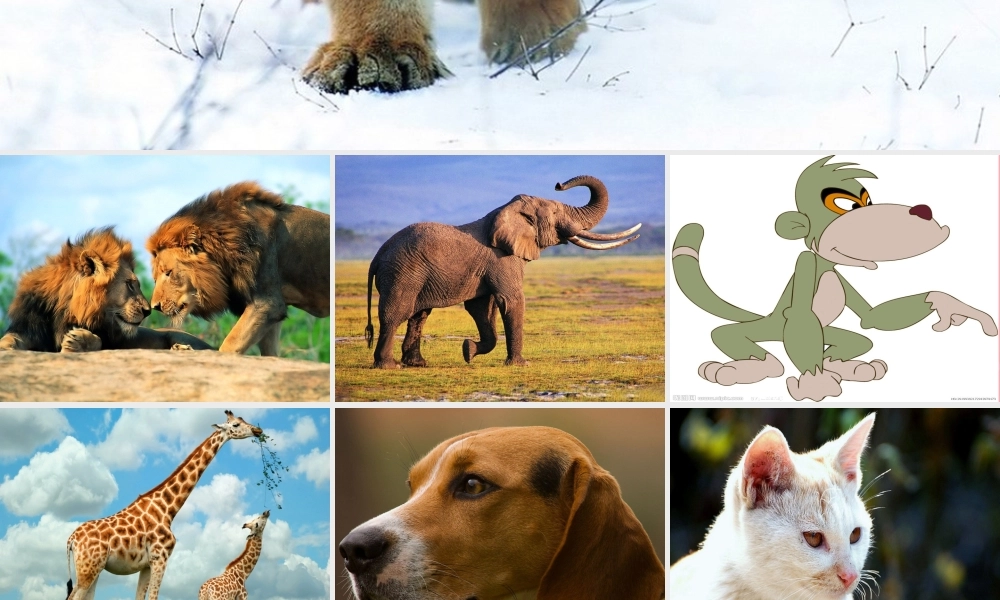 四年级语文上册 第三单元 联欢会的风波课件2 西师大版-西师大版小学四年级上册语文课件