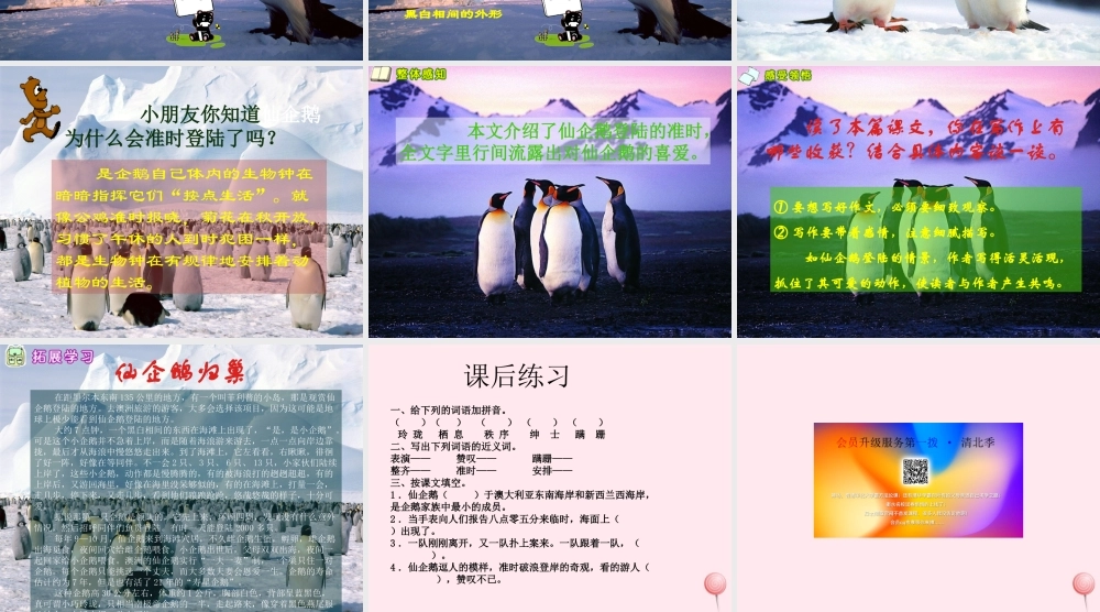 四年级语文上册 第五单元 25《准时的登陆表演》同步优质课件 冀教版-冀教版小学四年级上册语文课件