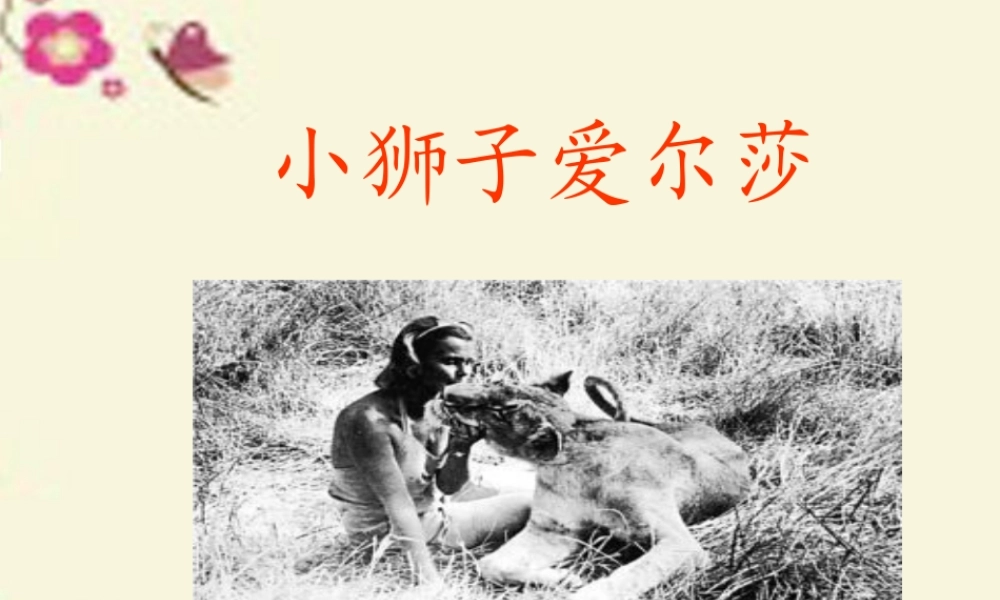 四年级语文下册 第7单元 28《小狮子爱尔莎》课件3 语文S版-语文S版小学四年级下册语文课件