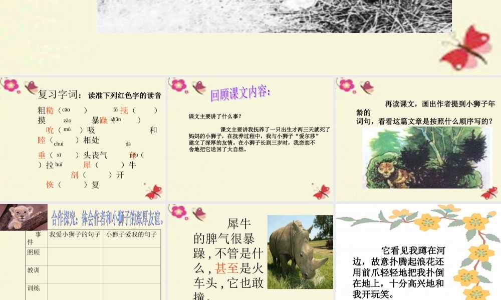 四年级语文下册 第7单元 28《小狮子爱尔莎》课件3 语文S版-语文S版小学四年级下册语文课件