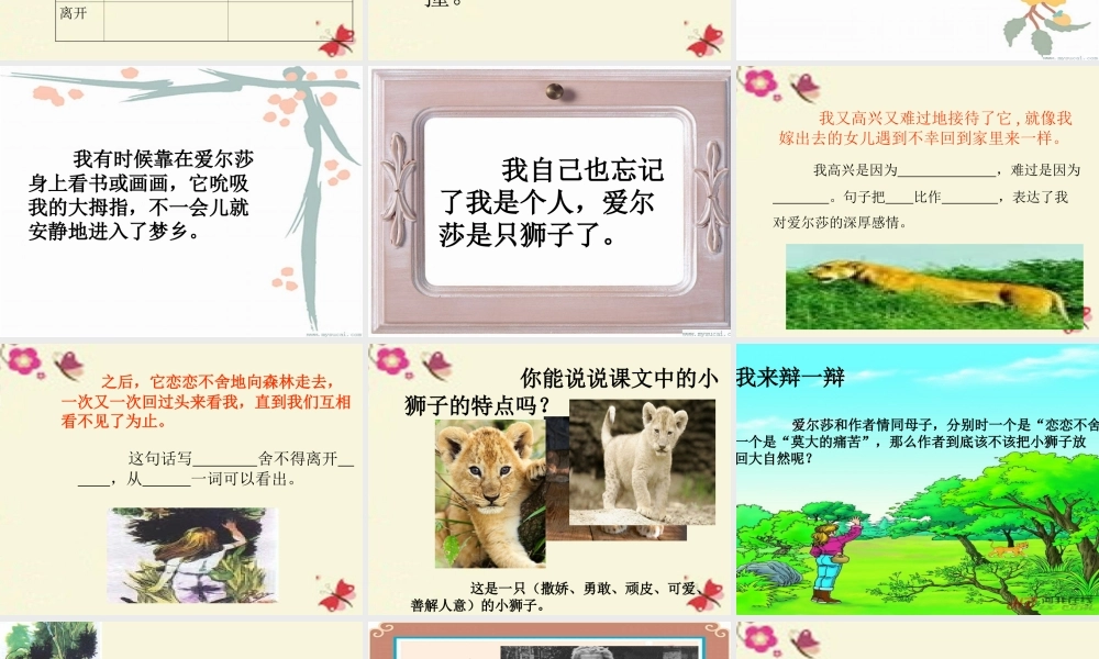 四年级语文下册 第7单元 28《小狮子爱尔莎》课件3 语文S版-语文S版小学四年级下册语文课件