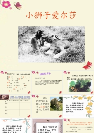 四年级语文下册 第7单元 28《小狮子爱尔莎》课件3 语文S版-语文S版小学四年级下册语文课件