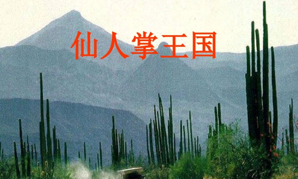四年级语文上册《仙人掌王国》课件4 语文A版-语文A版小学四年级上册语文课件