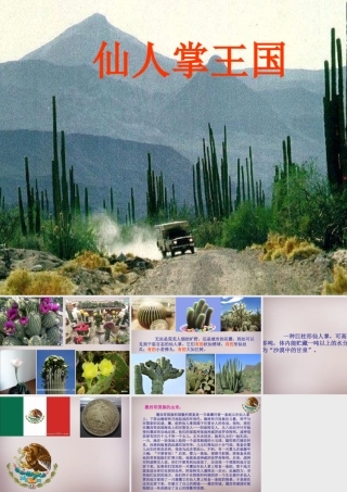 四年级语文上册《仙人掌王国》课件4 语文A版-语文A版小学四年级上册语文课件