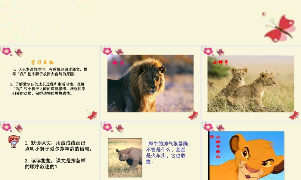 四年级语文下册 第7单元 28《小狮子爱尔莎》课件4 语文S版-语文S版小学四年级下册语文课件