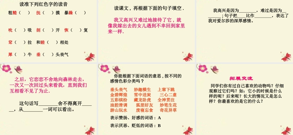 四年级语文下册 第7单元 28《小狮子爱尔莎》课件4 语文S版-语文S版小学四年级下册语文课件