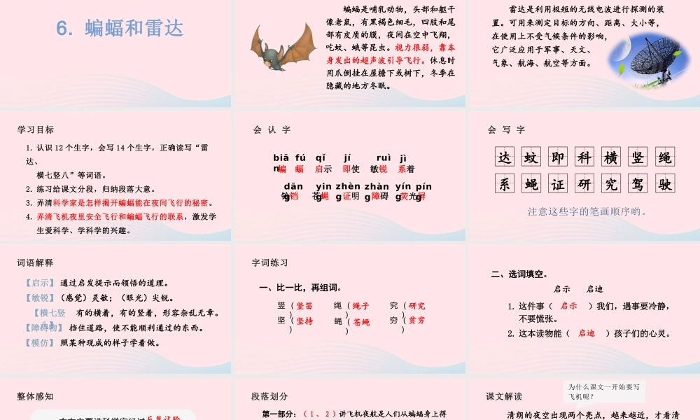 文上册 第二单元 6 蝙蝠和雷达课件
