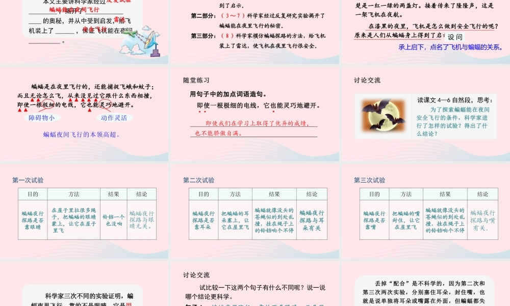 文上册 第二单元 6 蝙蝠和雷达课件