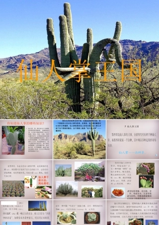 四年级语文上册《仙人掌王国》课件5 语文A版-语文A版小学四年级上册语文课件