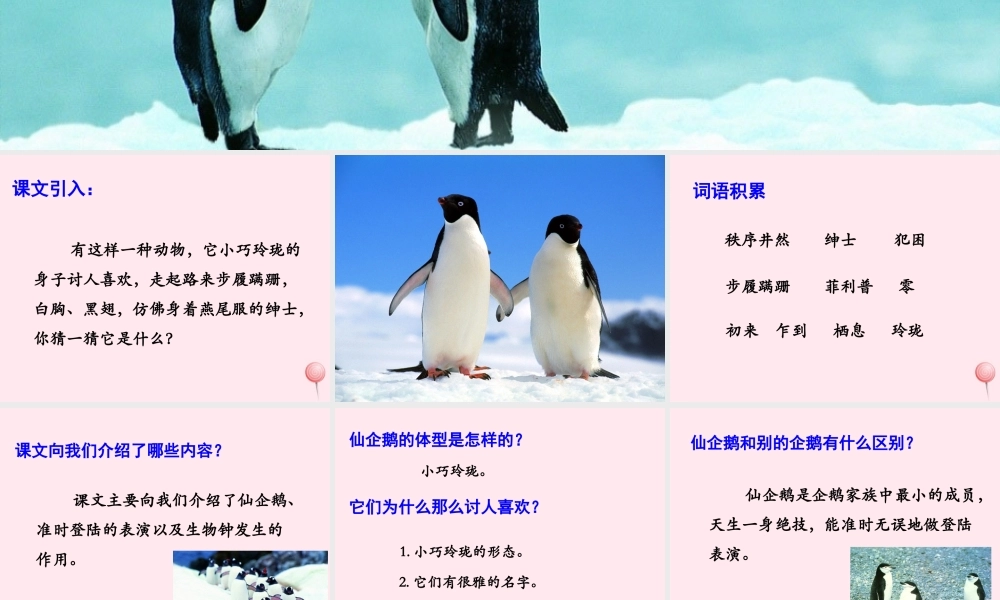 四年级语文上册 第五单元 25《准时的登陆表演》优培课件 冀教版-冀教版小学四年级上册语文课件